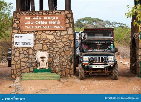 Safari. Yala National Park. Sri Lanka Editorial Stock Image - Image of ...