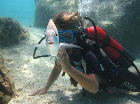 Diving Cala Mariolu (Baunei) - All You Need to Know BEFORE You Go