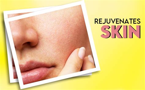 BLUE TEA - Chamomile Tea For Sleep - 250gm - 250 Cups | CALMING TEA ...