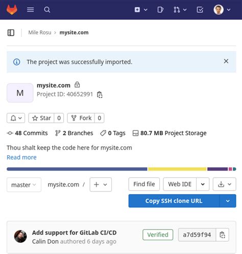 How to Push .Net Project into GitLab 的图像结果