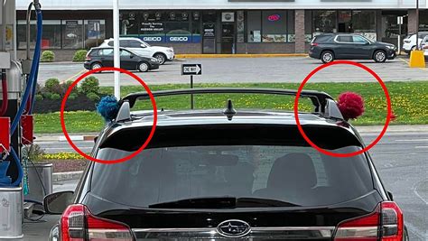 What Does a Loofah on Top of a Car Mean? Exploring the Symbol's Origins ...