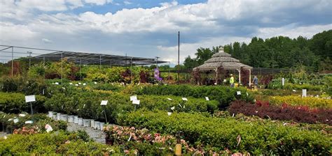 A Visit To Patuxent Nursery - Beyond Behnkes