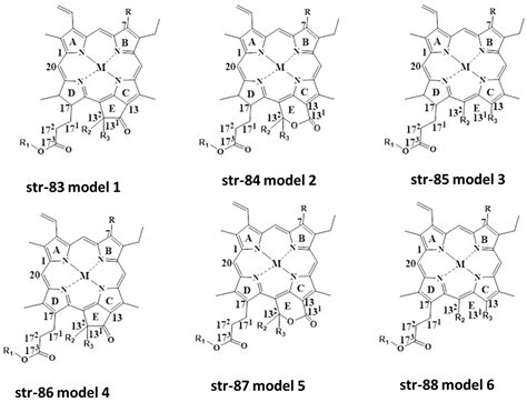 Analysis of Chlorophylls/Chlorophyllins in Food Products Using HPLC and ...
