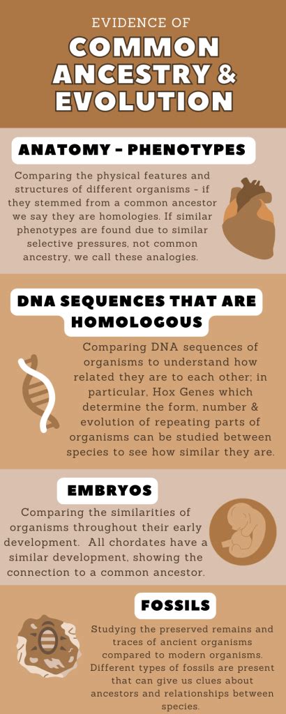 Image result for Evidence Against Evolution