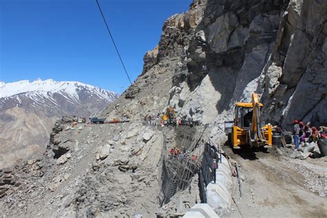 A Cat Among The People - slide10 | Nature inFocus