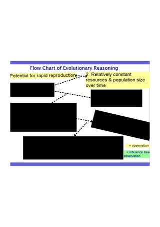 Flow Chart of Binary Evolution 的图像结果