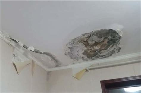 房顶漏水怎么办-屋顶漏水最好补漏方法