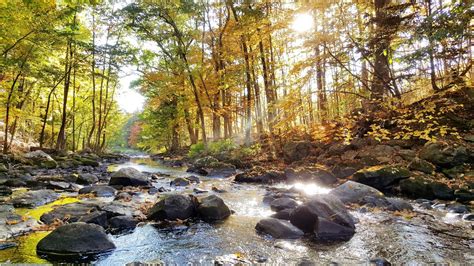 Martin Campground Joliet Illinois: Camping, RV Parks & More