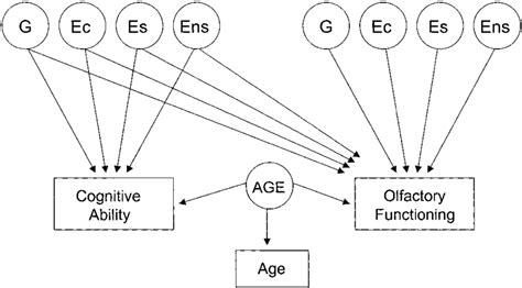 Image result for Life Cycle of Promise in JavaScript