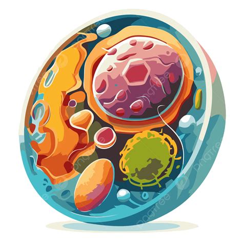 Animal Cell Clipart