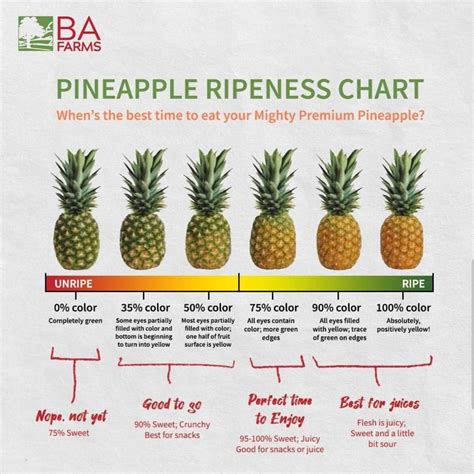 Pineapple Ripeness Chart | Food Saver Hacks, Healthy Recipes