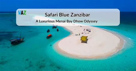 Zanzibar Weather January: What to Expect and Tips for Your Visit - WeAreZanzibar