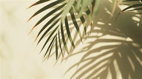 Palm leaves shadow on beige background freeze motion generative ai ...