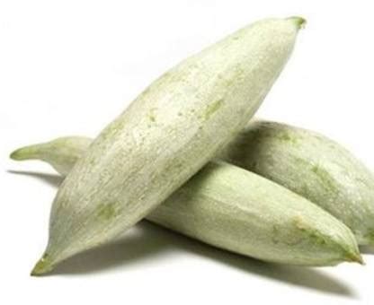 NOLVOX High Yield Rare Hybrid" Snake Gourd" Chachinda Pudalangai ...