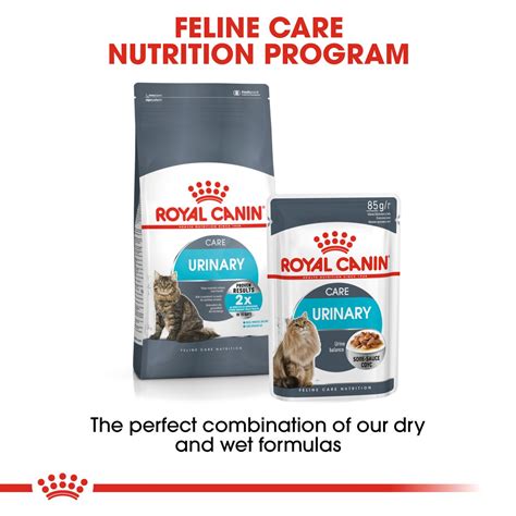 Urinary Care | Royal Canin IN