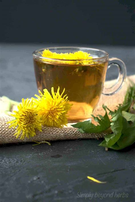 Dandelion Tea In Spanish at Maria Cardenas blog