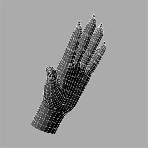 Image result for Female Hand 3D Modeling