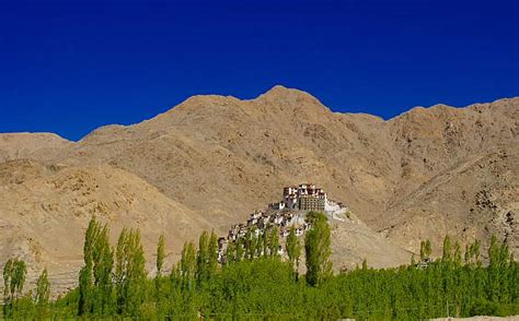Tour guide to visit Pangong Lake via Changla Pass for tourist in Ladakh