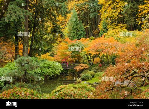 Image result for Step by Step Krushkal Algorithm Example
