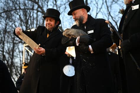 What if the groundhog sees his shadow? Groundhog Day meaning