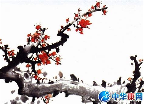 「读城」四川与日本（四）——流寓成都的日本诗僧雪村友梅_百科TA说