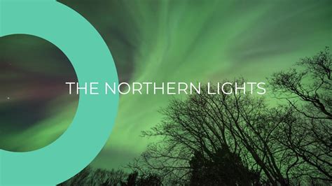 Image result for Explainer Video Examples