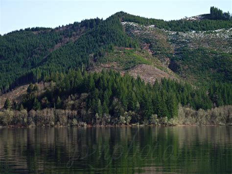 Photos by Jan: Triangle Lake, Oregon and Further Adventures