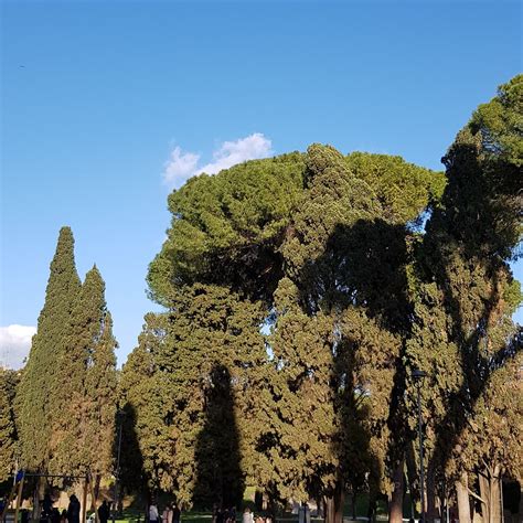 PARCO DELLA MOLE ADRIANA (2026) All You Need to Know BEFORE You Go ...