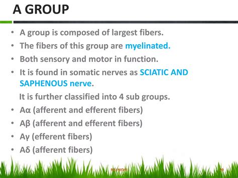 classification of nerve fibers | PPTX