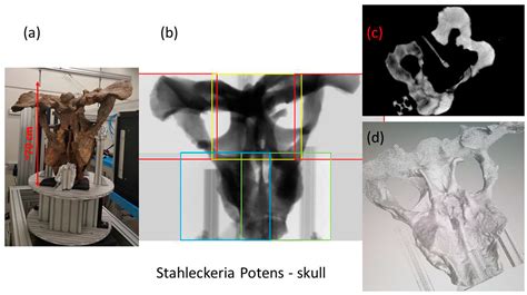 Neutron Imaging in Cultural Heritage Research at the FRM II Reactor of ...