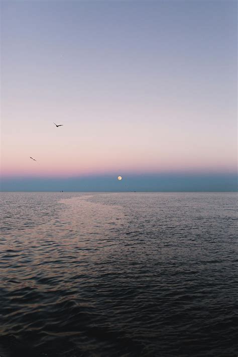 Relax Textured Background 的图像结果