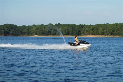 The Return of the Majestic Elk in Arkansas - Somewhere In Arkansas