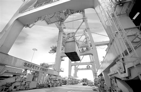 Import Export Services 的图像结果