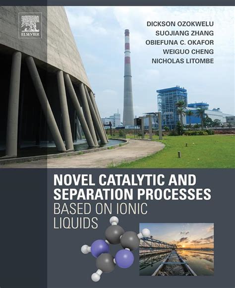 Novel Catalytic and Separation Processes Based on Ionic Liquids eBook ...