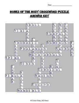 Bones of the Body Crossword Puzzle (Anatomy and Physiology) by Science ...