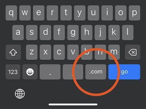 Input Type URL 的图像结果