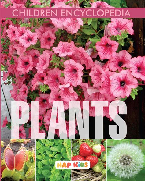 CHILDREN ENCYCLOPEDIA - PLANTS – Shanti Books