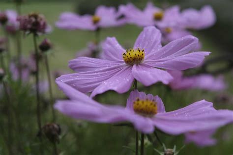 Image result for Examples Camera Settings