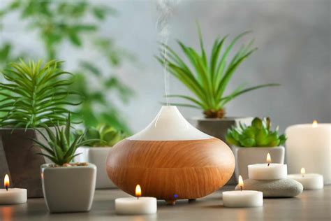 Image result for Essential Oil Diffusers