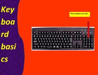 Image result for Electronic Keyboard Tutorial Basics