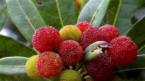 Image result for Array Graph Functions
