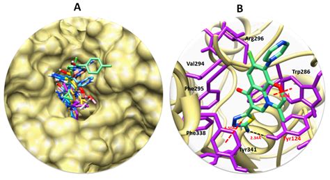 Drug-1,3,4-Thiadiazole Conjugates as Novel Mixed-Type Inhibitors of ...