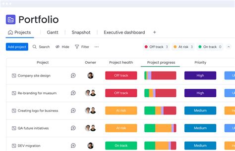 Image result for Program Management vs Project Management
