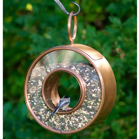 Novelty Unique Bird Feeders | Bird feeders, Unique bird feeders, Bird ...