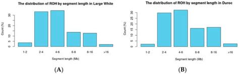 Visualization of Runs of Homozygosity and Classification Using ...