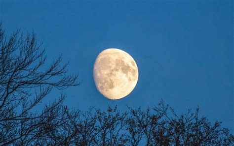 关于月的诗句 与月有关的优美诗句有哪些_万年历