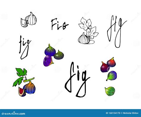 Figs Word In Spanish at Ladonna Teal blog