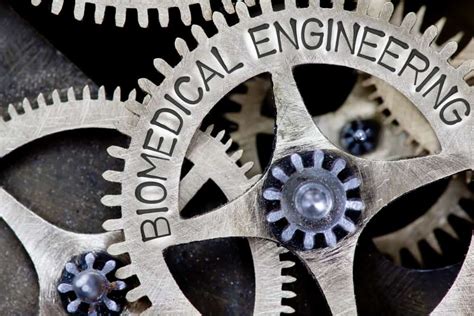 Different Types of Biomedical Engineering 的图像结果