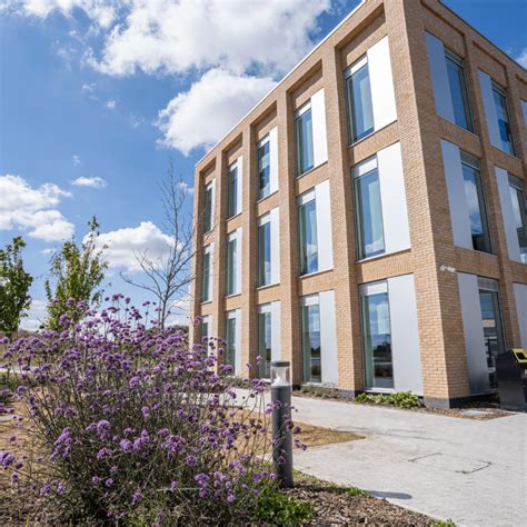 Climbing Trees To Exhibit At The Essex Green Business Expo