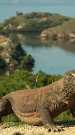 PNR linking feature by IRCTC makes it easy to connect two train ...